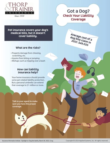 Happy dog with its owner in Boise, ID